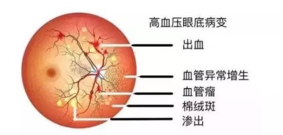 下載 (2)