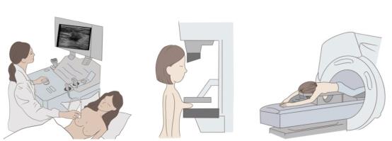文本

低可信度描述已自動(dòng)生成