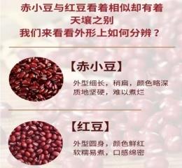 1微信圖片_20240520224449