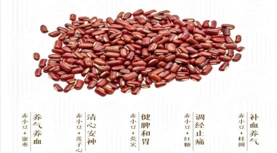 2微信圖片_20240520225017