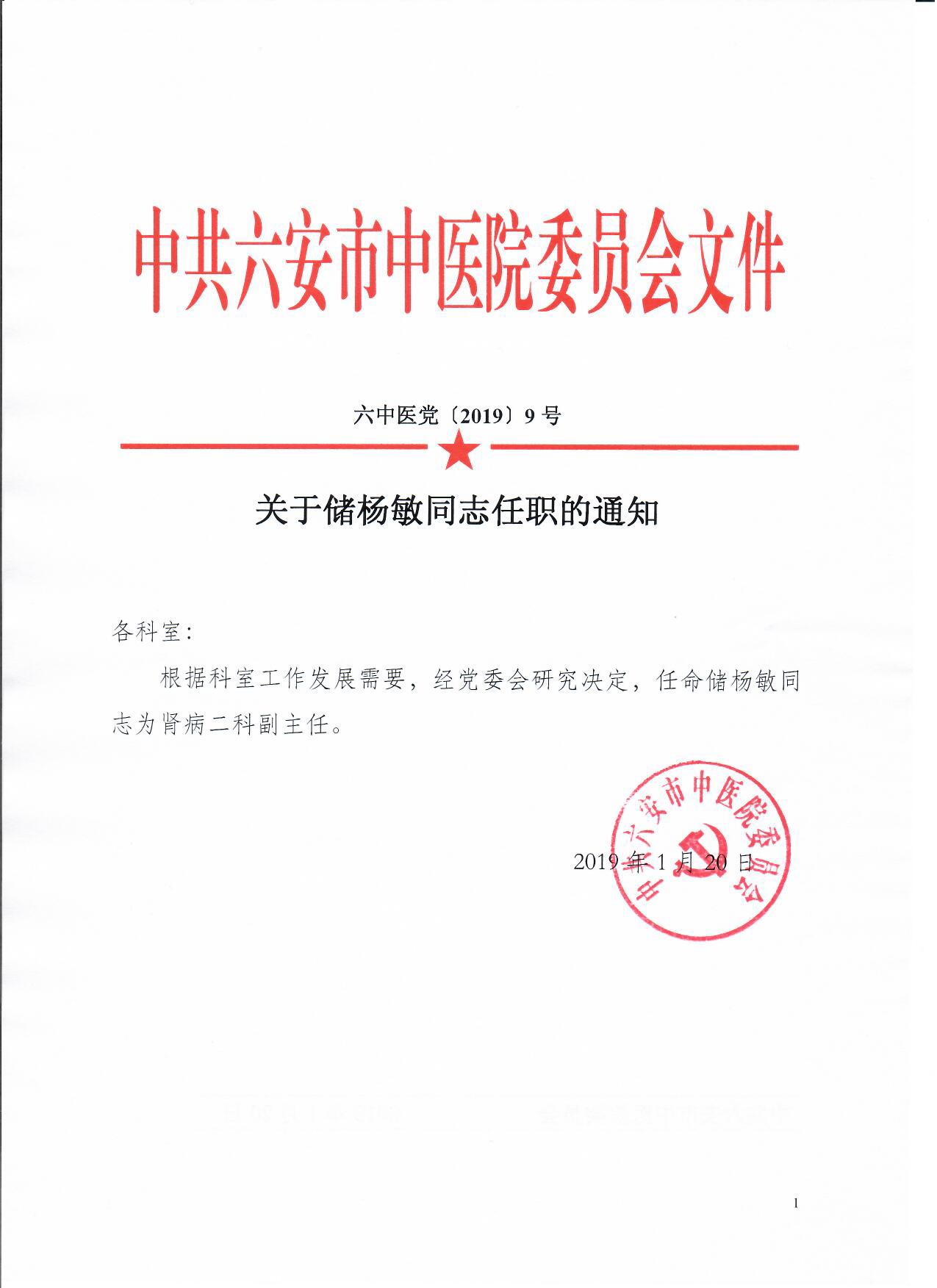 儲(chǔ)楊敏任職.jpg
