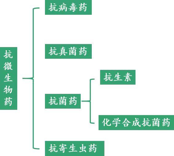 微信圖片_20221124163737 微信圖片_20221124163737